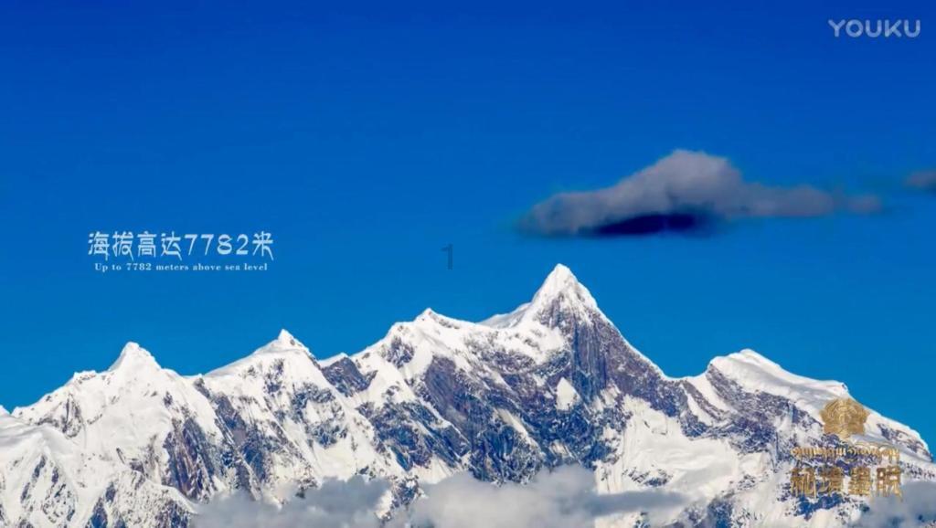 盛世修文!一起欣赏“唯一活着的象形文字”